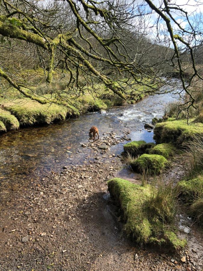 The Hayloft, Exmoor Bed and Breakfast Withypool Εξωτερικό φωτογραφία