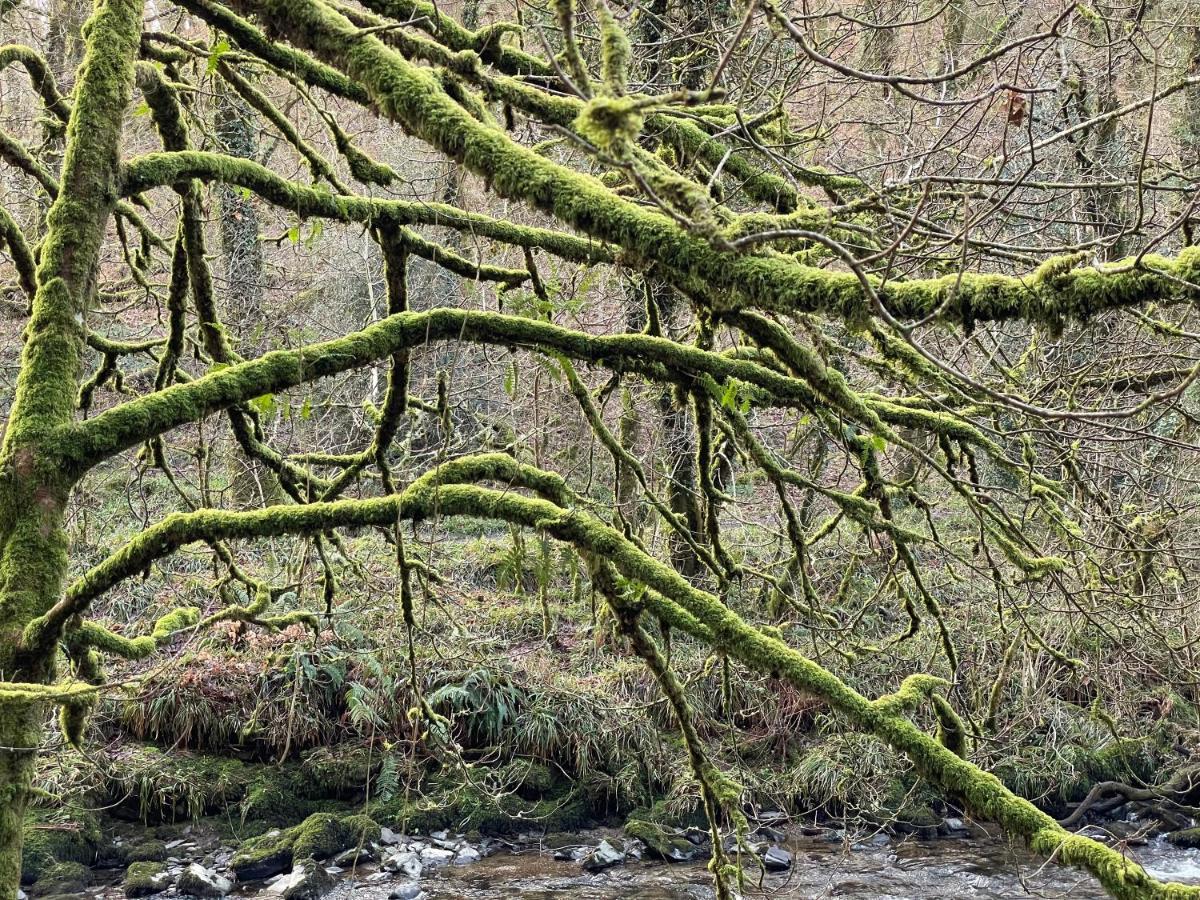 The Hayloft, Exmoor Bed and Breakfast Withypool Εξωτερικό φωτογραφία