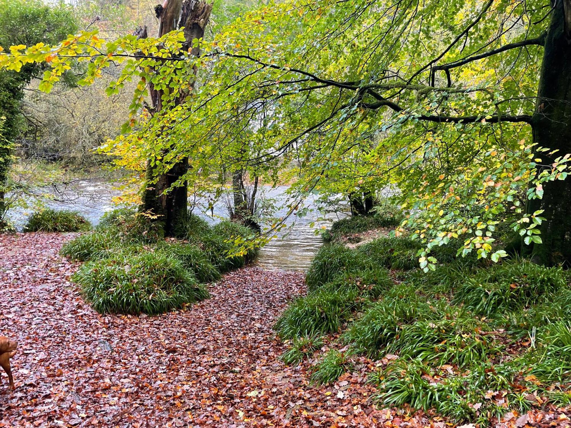 The Hayloft, Exmoor Bed and Breakfast Withypool Εξωτερικό φωτογραφία