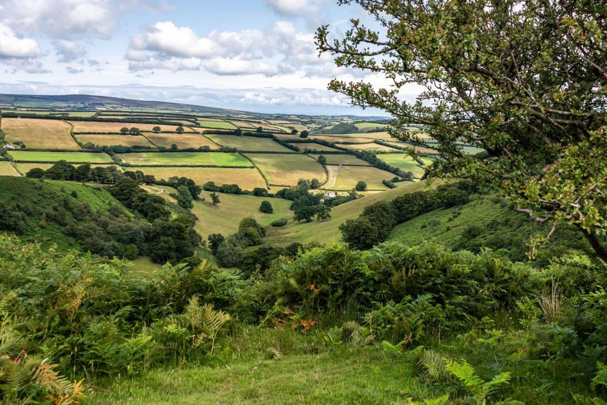 The Hayloft, Exmoor Bed and Breakfast Withypool Εξωτερικό φωτογραφία